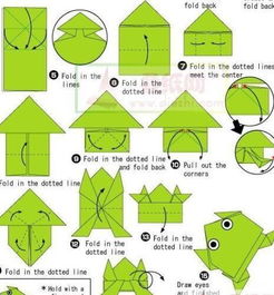 【手工DIY】轻松学会折纸青蛙，趣味十足！ 1