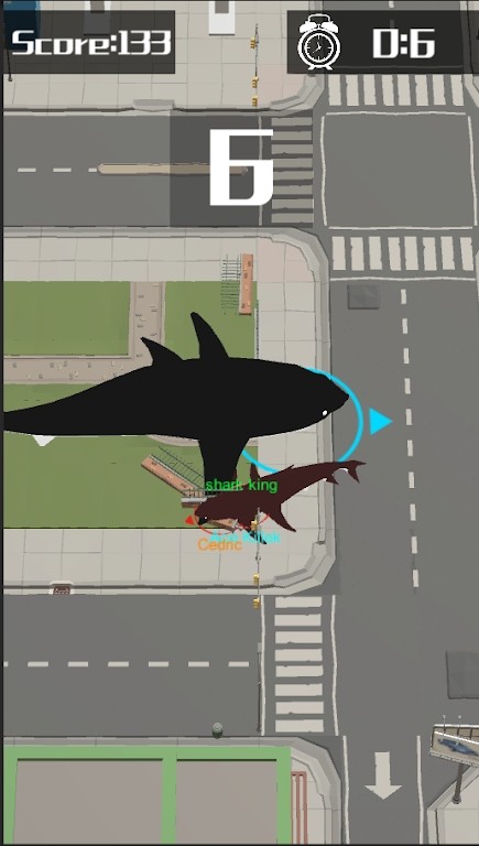 鲨鱼横冲直撞