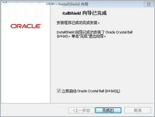 精通Oracle Crystal Ball：全面掌握预测分析技巧教程 4