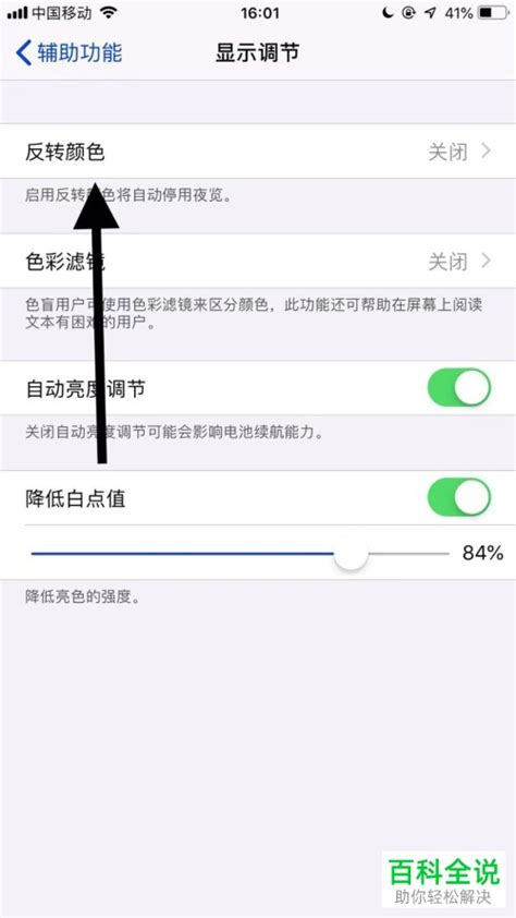 苹果手机轻松设置反转颜色指南 2