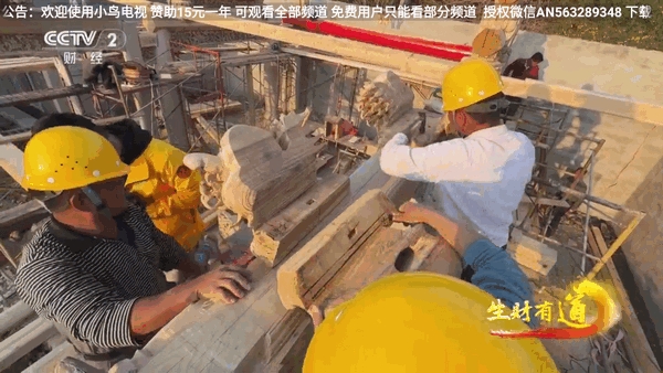 小鸟电视海外版