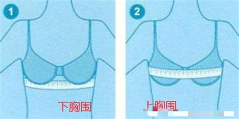 准确测量胸围的正确方法 1