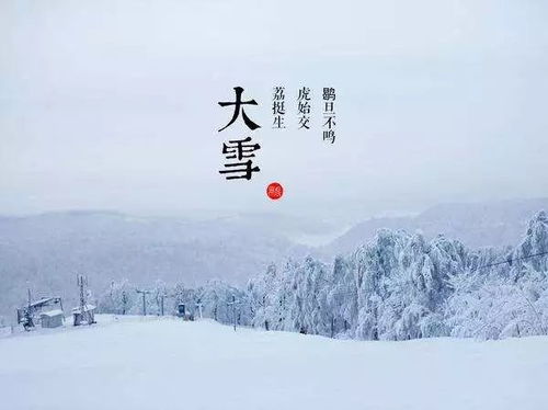 大雪纷飞寒风刺骨，这句歌词出自哪首歌？ 2