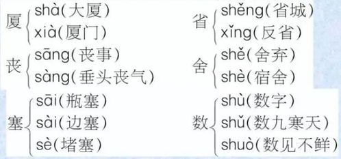 揭秘'爪'字的奇妙变奏：一字多音，你了解多少？ 3