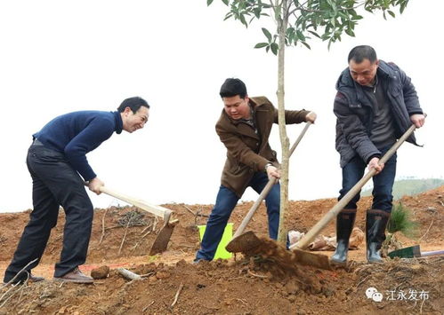 揭秘植树造林的惊人益处 1