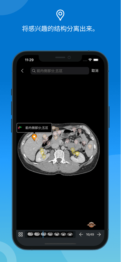 e-anatomy中文版
