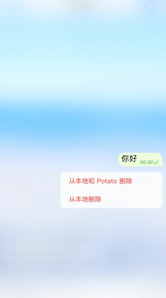 土豆聊天potato