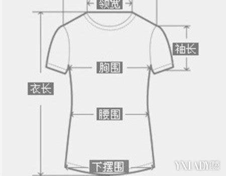 测量衣物肩宽、胸围与腰围的详细方法 4