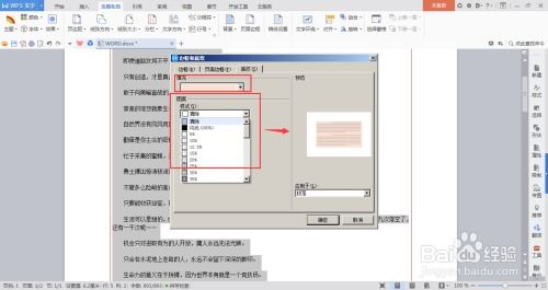 打造专业Word文档：巧妙运用边框与底纹提升排版魅力 3