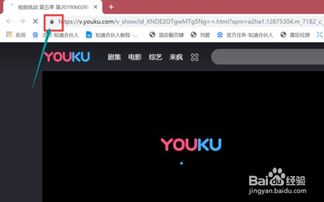 解决最新版Chrome无法加载Flash的方法 1