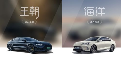 比亚迪汽车APP如何呼叫道路救援？ 3