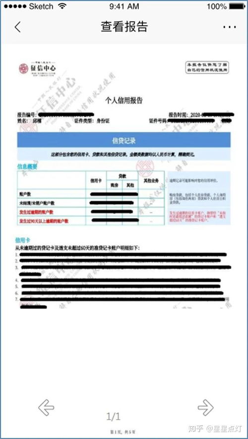 如何在线免费查询并获取个人征信报告？ 1