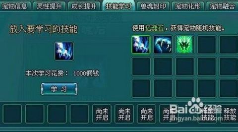《凡人修真2》宠物高效技能组合策略 2