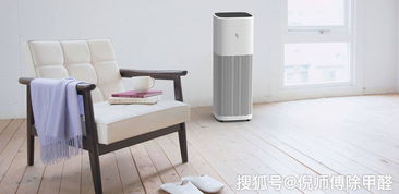 室内除甲醛高效妙招大揭秘 2