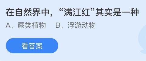 自然界中的“满江红”实为何物？蚂蚁庄园揭秘 2