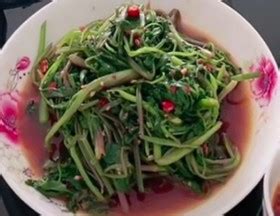 广东菜中山野菜的制作方法是什么？ 3