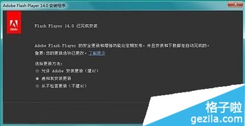 掌握Adobe Flash Player的高效使用技巧 1