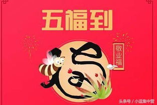 支付宝集五福全攻略：轻松解锁福卡秘籍 3