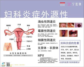 掌握技巧，安全守护：男性使用安全套的必备指南与注意事项 3