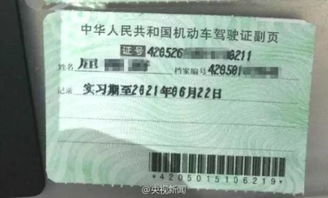 如何查询驾驶证真伪？ 1