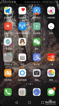 蚂蚁庄园：快速找回丢失小鸡的实用指南 2