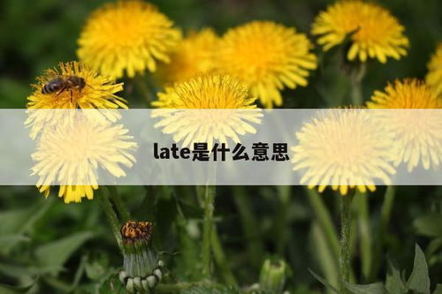 揭秘'late'一词的深层含义与多种用法 3