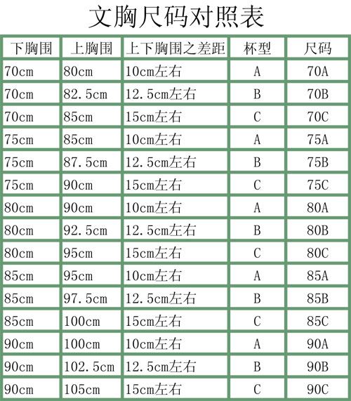 全面解析：罩杯尺码分类与选择指南 3