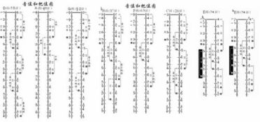 掌握二胡指法口诀，让你秒变演奏高手的速成秘籍！ 3