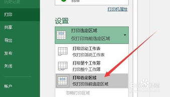 掌握技巧：轻松设置Excel的打印区域 4