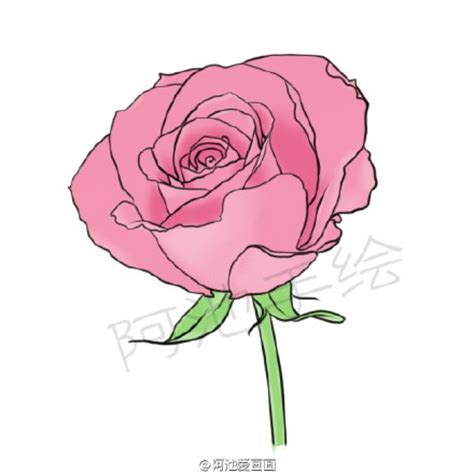 轻松学会！花朵简笔画绘制教程 2