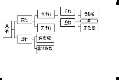 正负数与分数的基本概念是什么？ 1