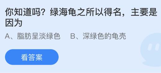 揭秘！绿海龟得名的真正原因 1