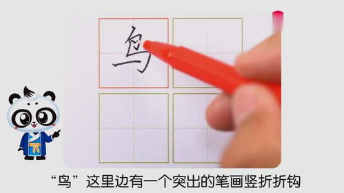 如何正确书写'鸟'字的笔顺 1