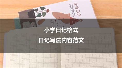 二年级学生日记的标准格式指南 3