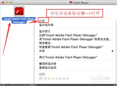Mac系统用户必看：轻松安装Adobe Flash Player指南 2