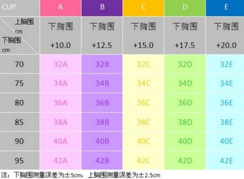 罩杯尺码的详细分类与选择指南 4