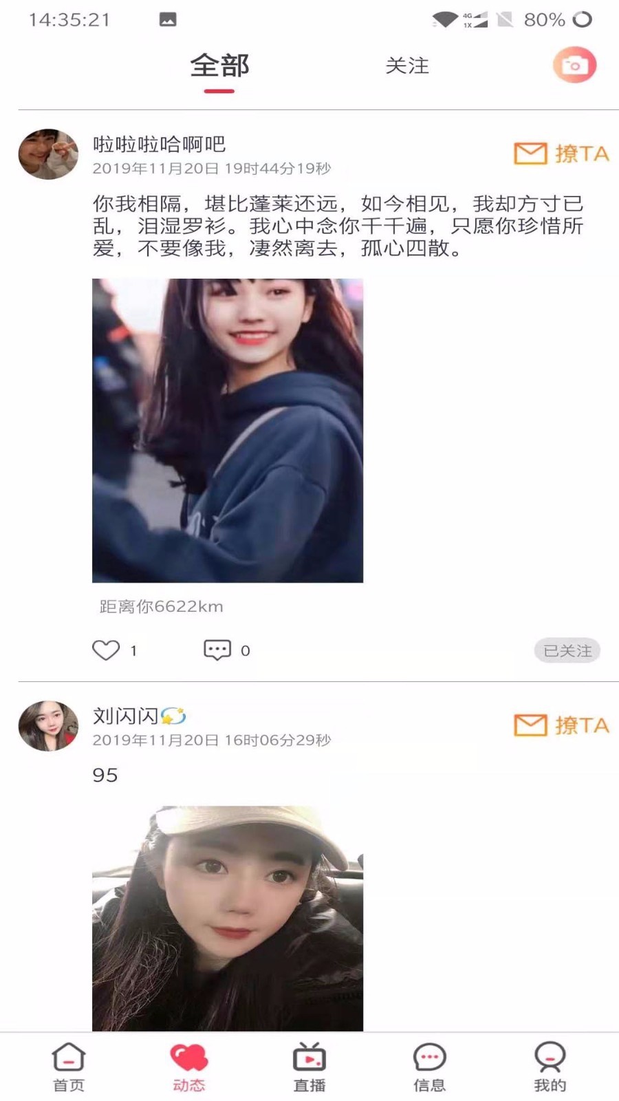 皮皮猪
