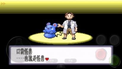 全面掌握！口袋妖怪红宝石386版图文详解与攻略秘籍 2