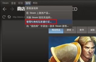 如何解决Dota2无法连接Steam网络的问题（5秒快速方法） 4