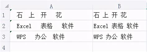 Excel技巧：如何轻松掌握TRIM函数的使用方法？ 1