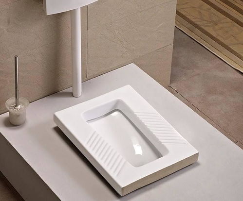 将蹲便器转换为坐便器的步骤 1