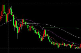 揭秘！一看就会的股票走势图分析方法，轻松掌握市场脉搏 2
