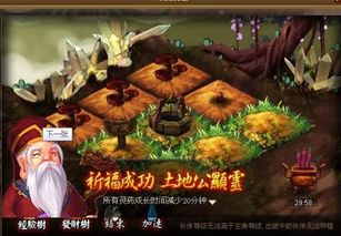 揭秘大话神仙后期：最强伙伴搭配策略 1
