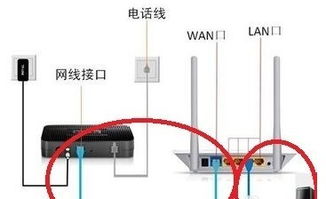 路由器与猫的区别及高效连接指南 2