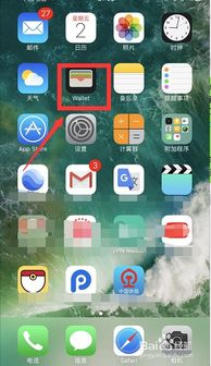 轻松掌握：开启与使用Apple Pay的全攻略 3