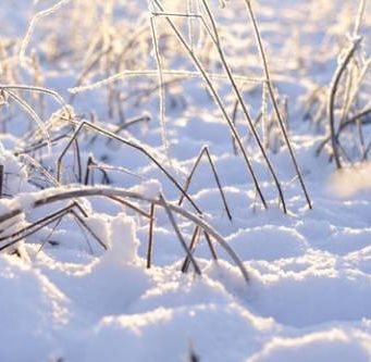 大雪纷飞寒风刺骨，这句歌词出自哪首歌？ 1