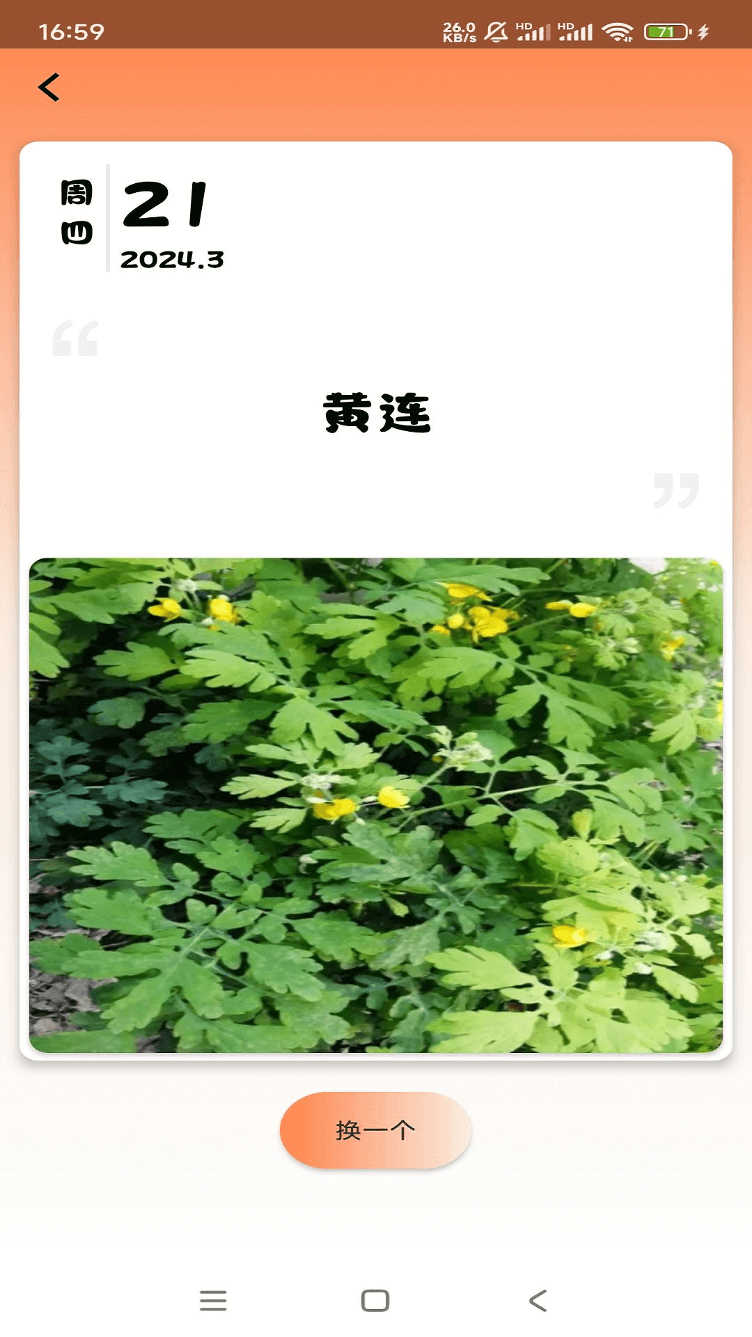 草药速识app