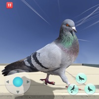 饥饿的鸽子模拟器游戏 v1.1