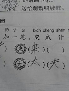 一字之变：为'只'添一笔成何字 4