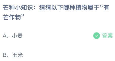 问答揭秘：蚂蚁庄园小课堂——'芒种忙，下晚秧'究竟指的是哪种农事活动？ 3